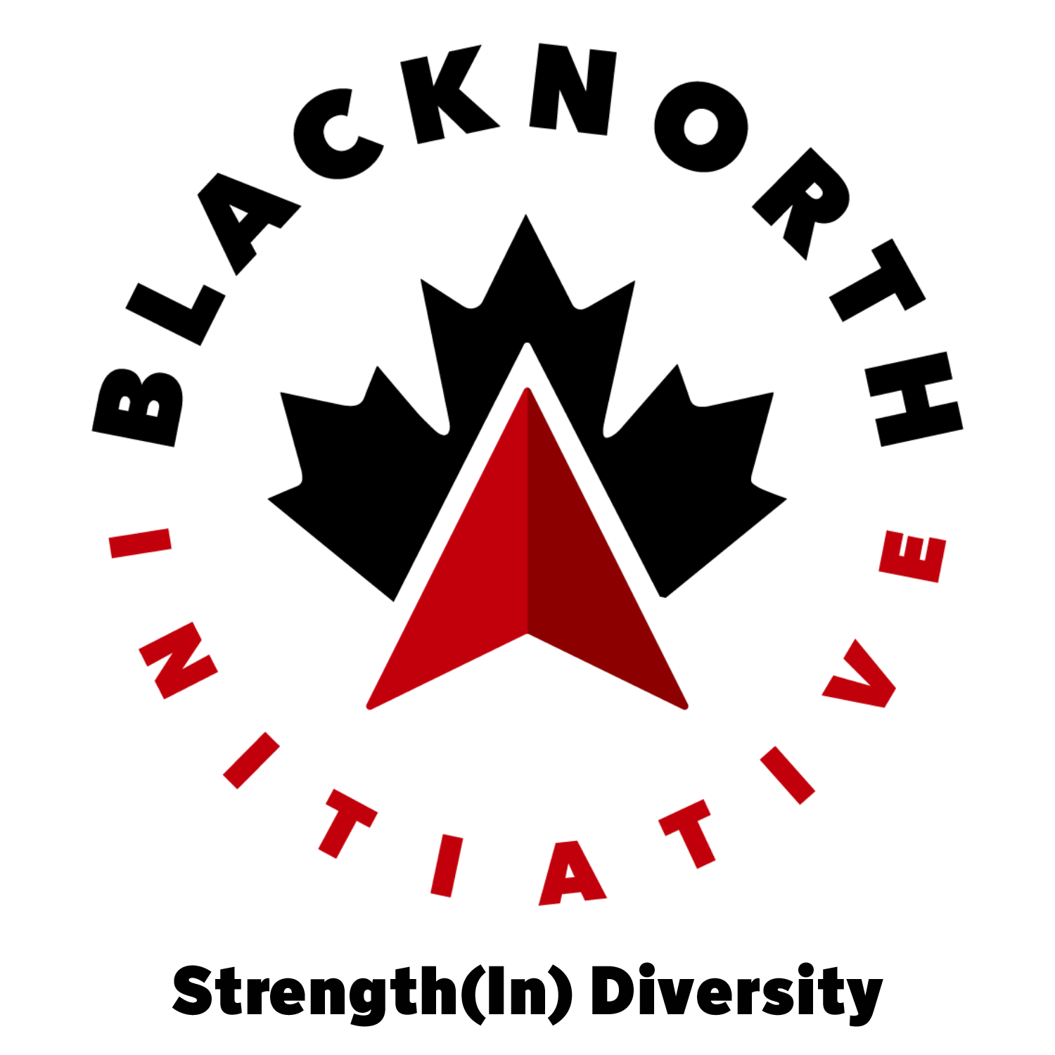 The BlackNorth Initiative Logo